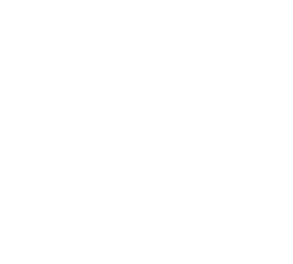 Website-Erstellung